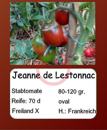 Jeanne de Lestonnac DER TOMATENFLÜSTERER
