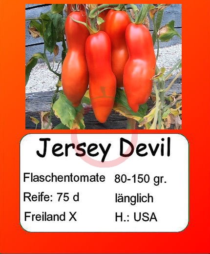 Jersey Devil DER TOMATENFLÜSTERER