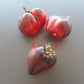 Kas/21 Typ 1 DER TOMATENFLÜSTERER
