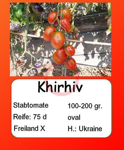 Khirhiv DER TOMATENFLÜSTERER