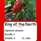 King of the North DER TOMATENFLÜSTERER