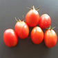 König Humbert DER TOMATENFLÜSTERER