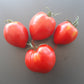 Konus DER TOMATENFLÜSTERER