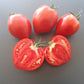 Konus DER TOMATENFLÜSTERER