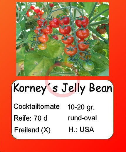 Korney´s Jelly Bean DER TOMATENFLÜSTERER
