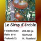 Le Sirop d'érable DER TOMATENFLÜSTERER