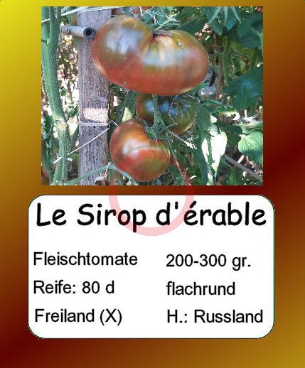 Le Sirop d'érable DER TOMATENFLÜSTERER