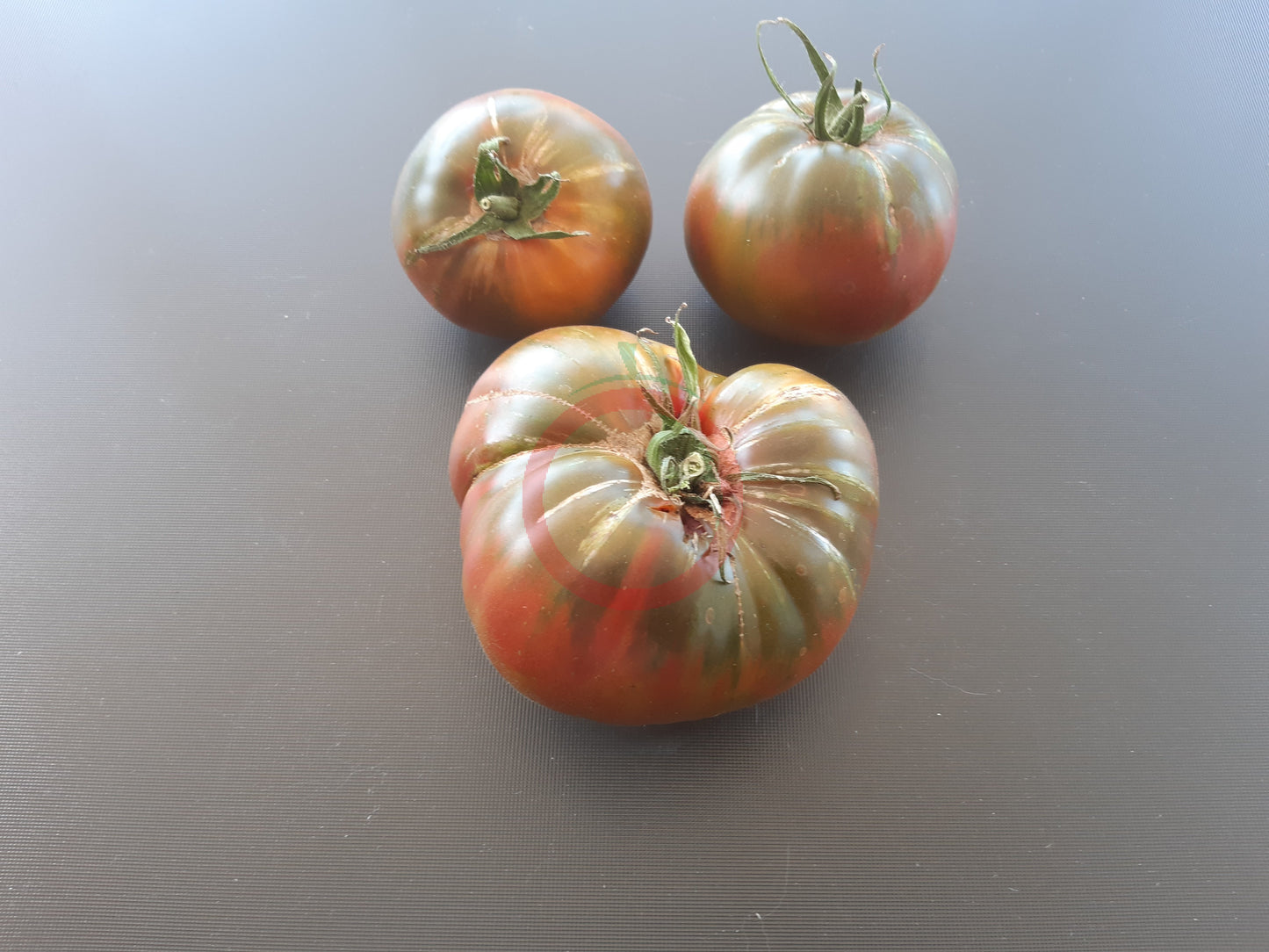 Le Sirop d'érable DER TOMATENFLÜSTERER