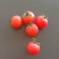 Lea von Annemarie DER TOMATENFLÜSTERER