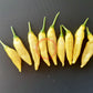 Lemon Drop DER TOMATENFLÜSTERER
