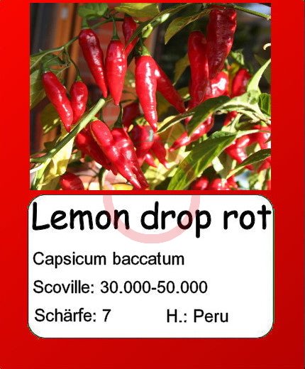 Lemon Drop Rot DER TOMATENFLÜSTERER
