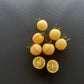 Lollipop DER TOMATENFLÜSTERER