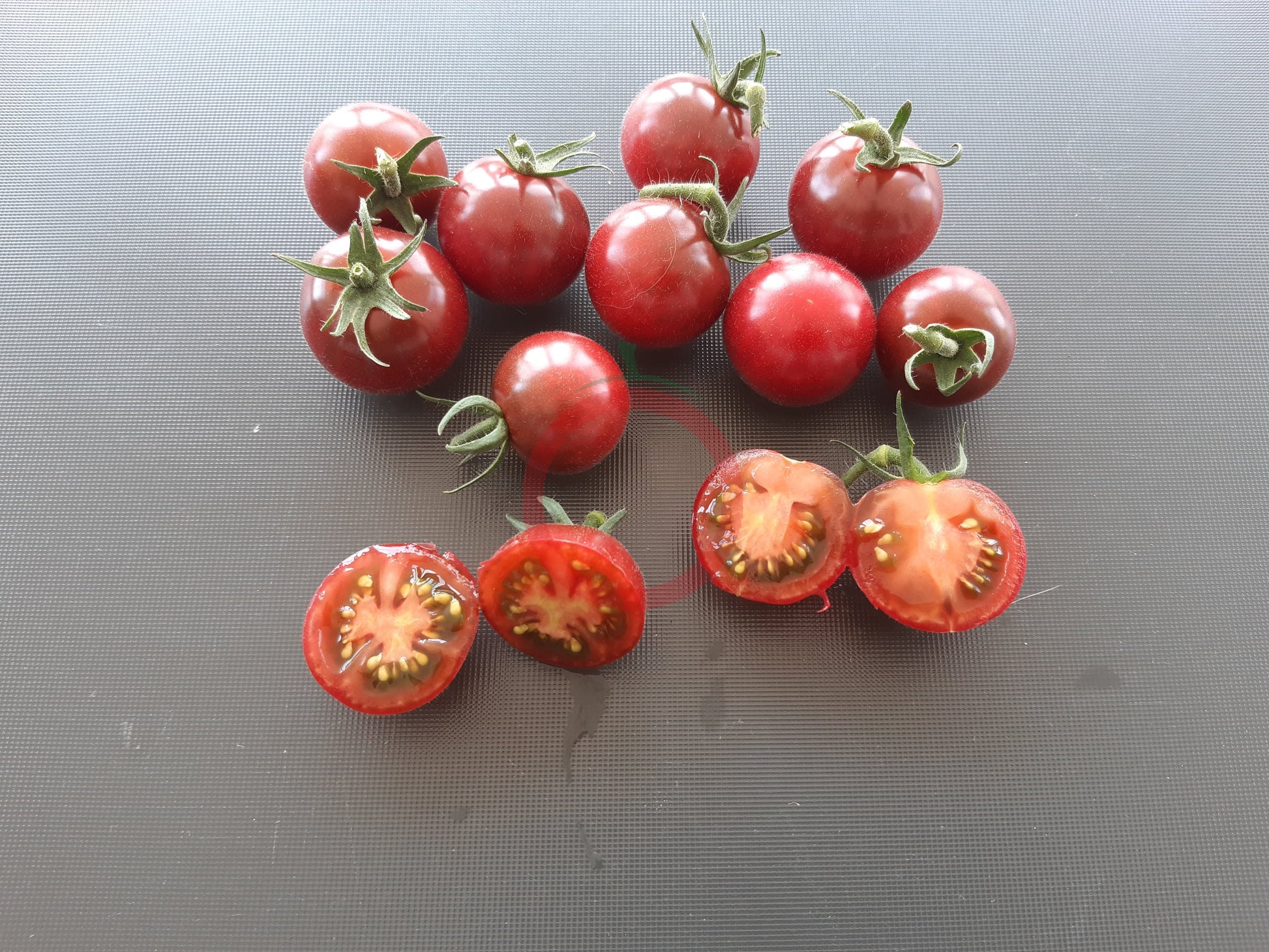 Lost Marbles DER TOMATENFLÜSTERER