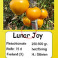 Lunar Joy DER TOMATENFLÜSTERER