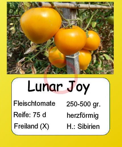Lunar Joy DER TOMATENFLÜSTERER