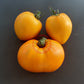 Lunar Joy DER TOMATENFLÜSTERER