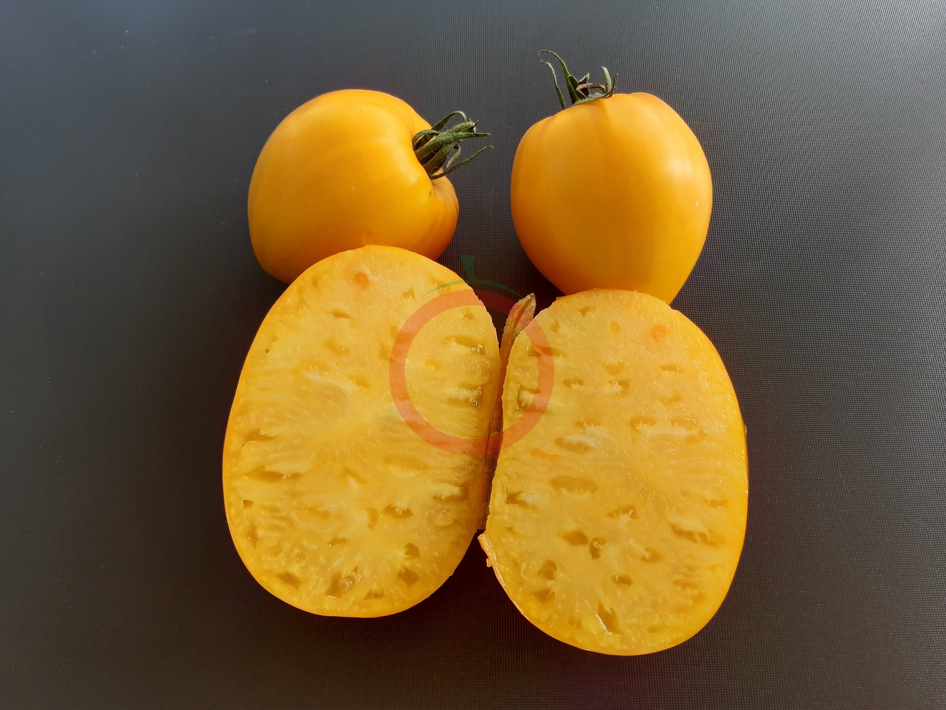 Lunar Joy DER TOMATENFLÜSTERER