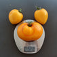 Lunar Joy DER TOMATENFLÜSTERER