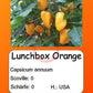 Lunchbox Orange DER TOMATENFLÜSTERER