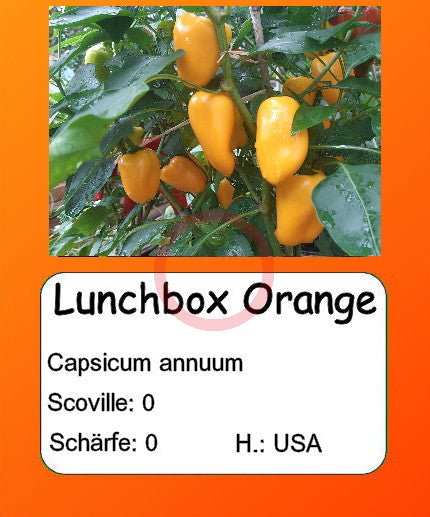 Lunchbox Orange DER TOMATENFLÜSTERER