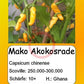Mako Akokosrade DER TOMATENFLÜSTERER