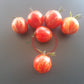 Maria Koller DER TOMATENFLÜSTERER