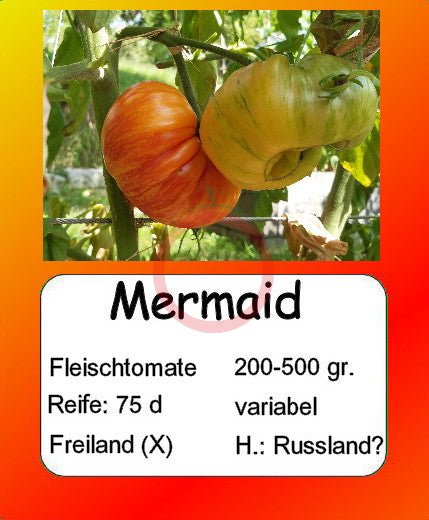 Mermaid DER TOMATENFLÜSTERER