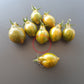 Michael Pollan DER TOMATENFLÜSTERER
