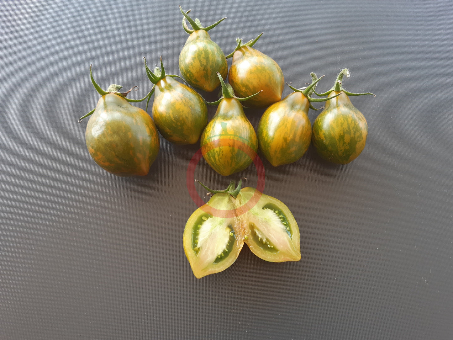 Michael Pollan DER TOMATENFLÜSTERER