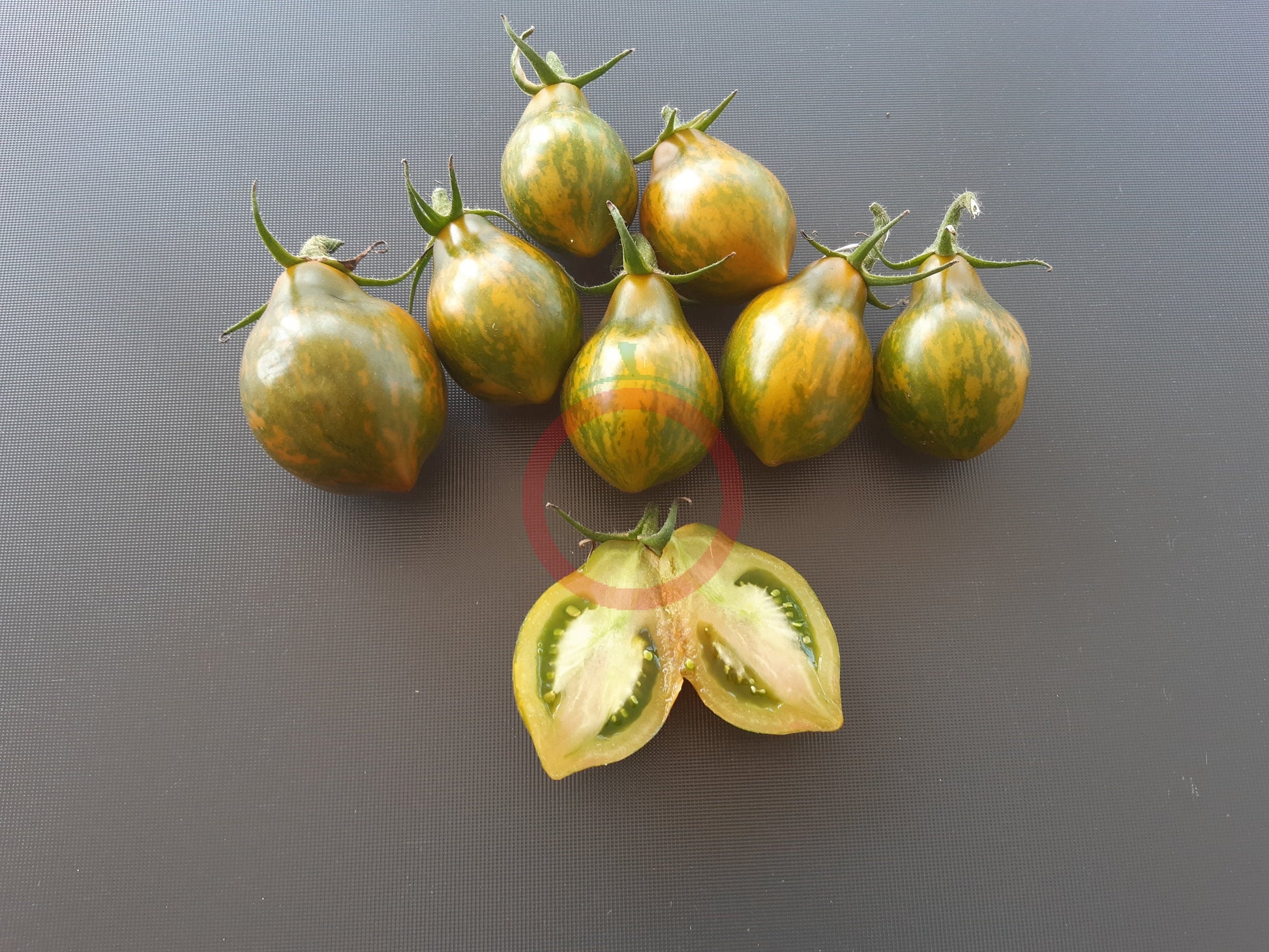 Michael Pollan DER TOMATENFLÜSTERER