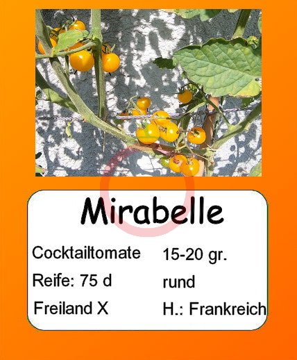 Mirabell DER TOMATENFLÜSTERER