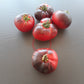 Mlle Foriers DER TOMATENFLÜSTERER