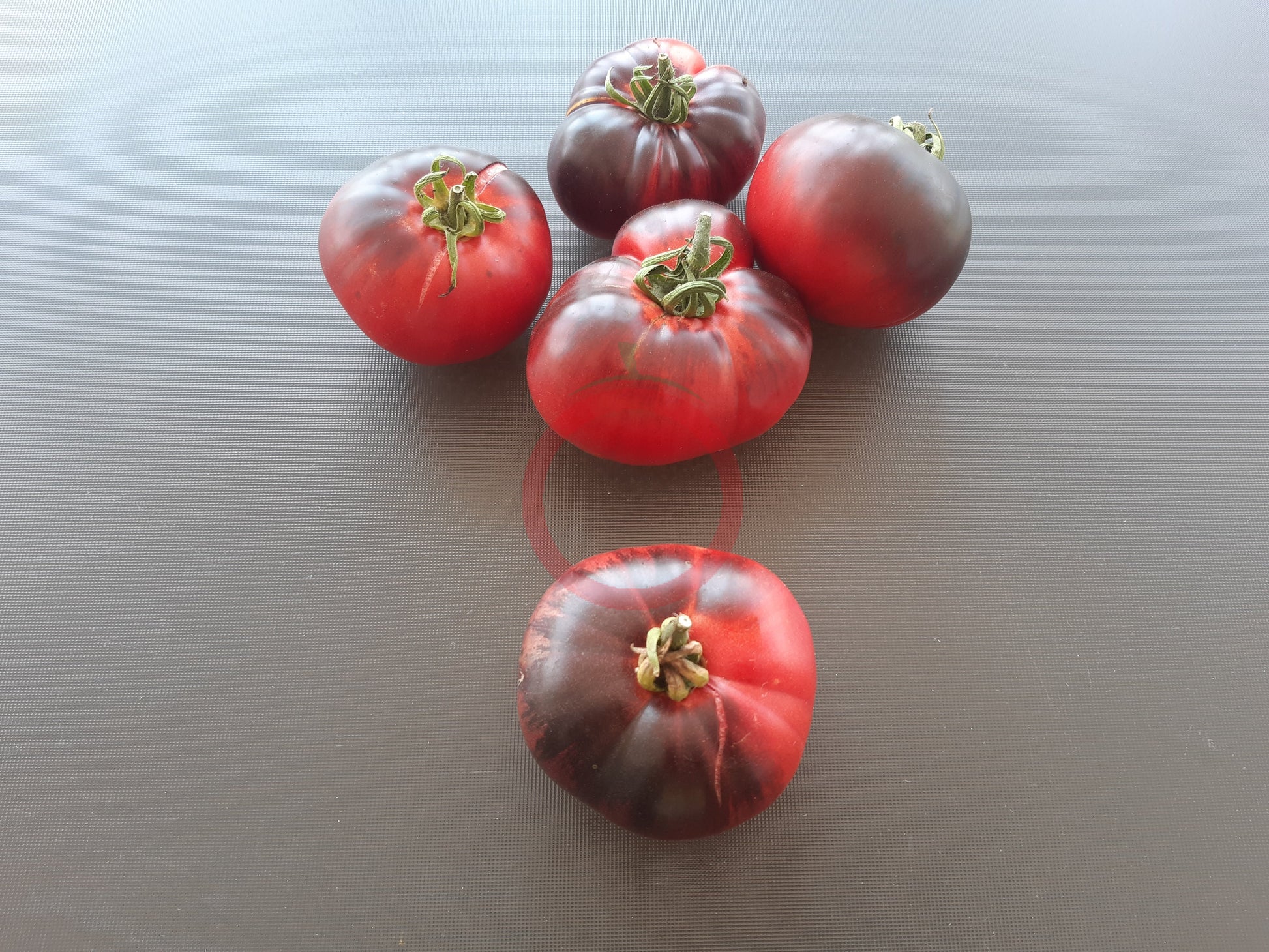 Mlle Foriers DER TOMATENFLÜSTERER