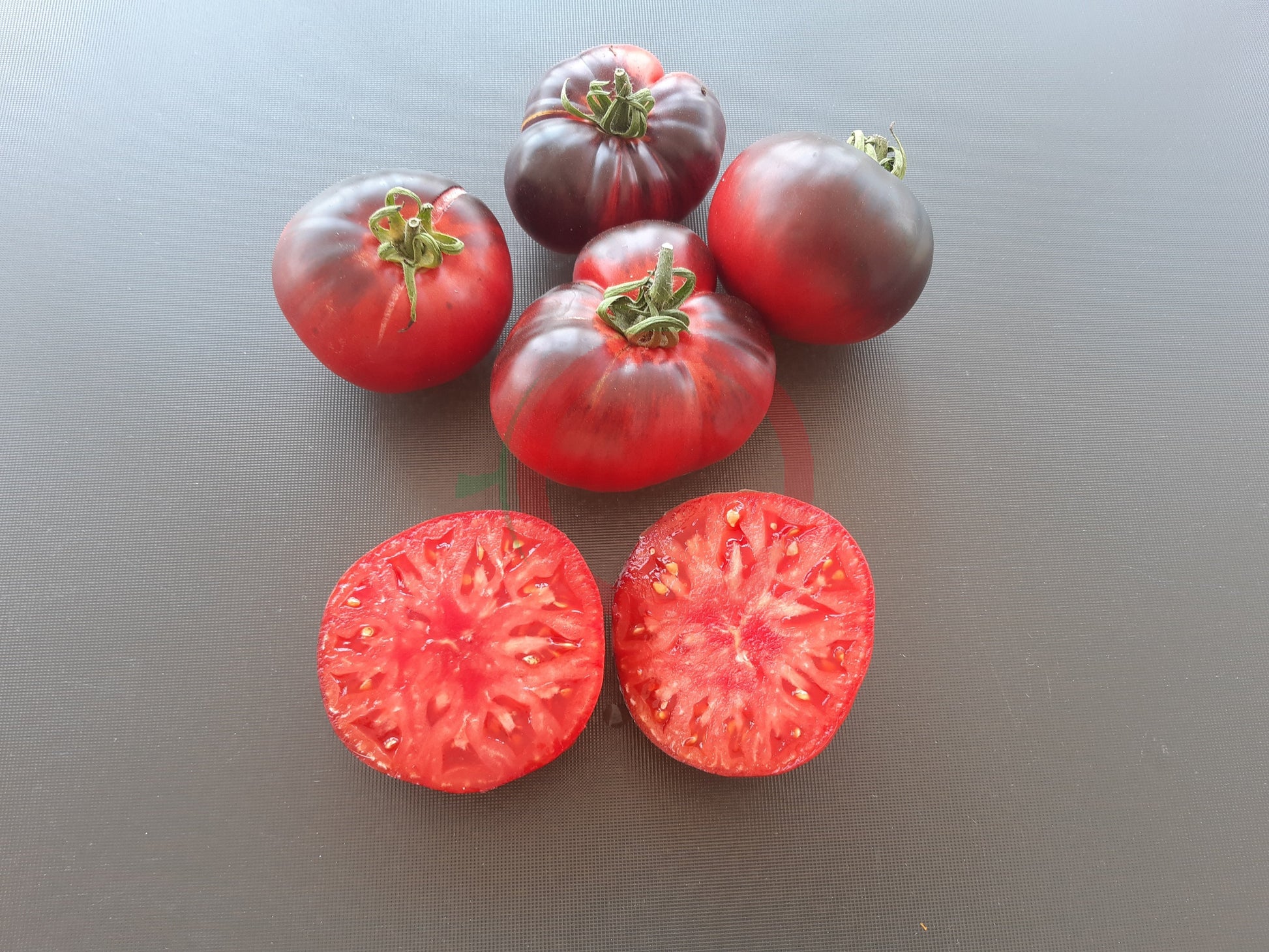 Mlle Foriers DER TOMATENFLÜSTERER