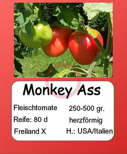 Monkey Ass DER TOMATENFLÜSTERER