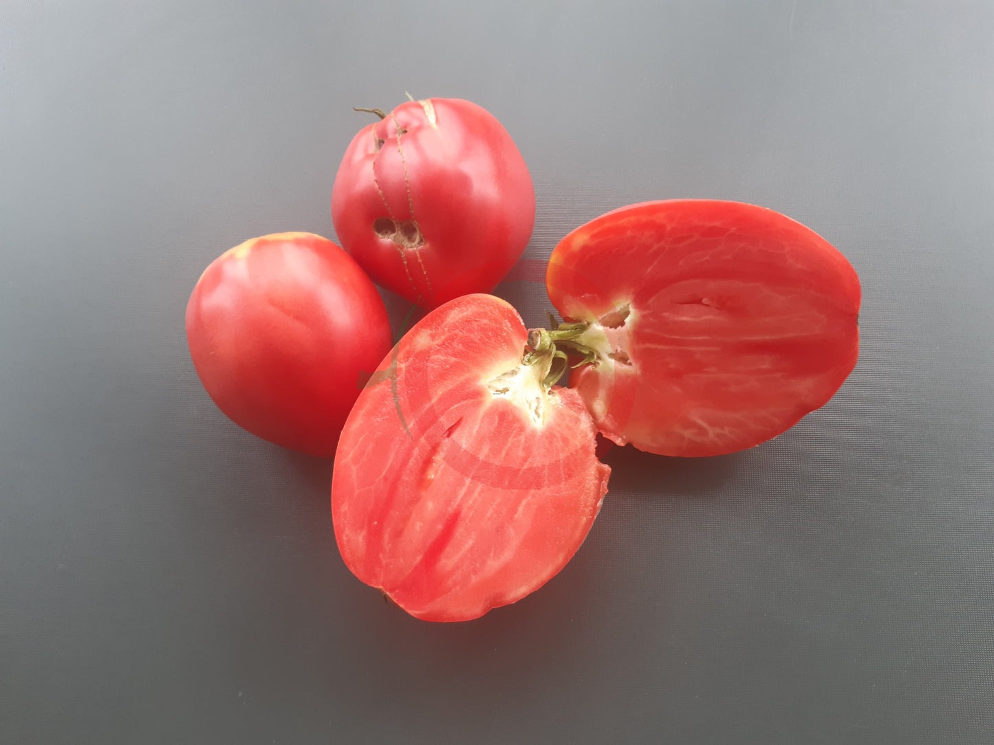 Monkey Ass DER TOMATENFLÜSTERER