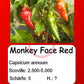 Monkey Face Red DER TOMATENFLÜSTERER