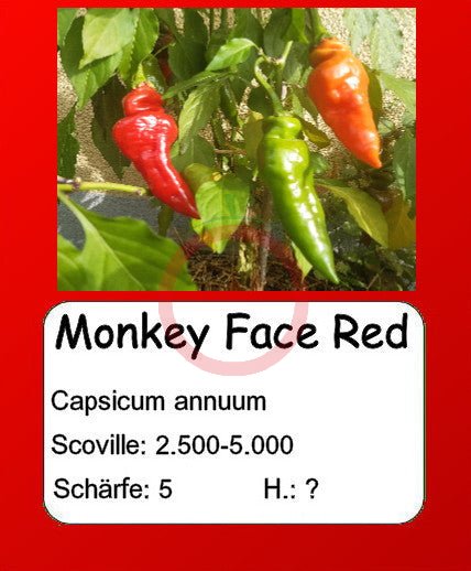 Monkey Face Red DER TOMATENFLÜSTERER