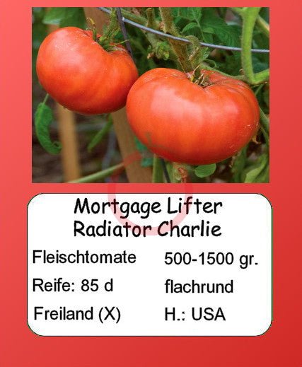Mortgage Lifter Radiator Charlie DER TOMATENFLÜSTERER