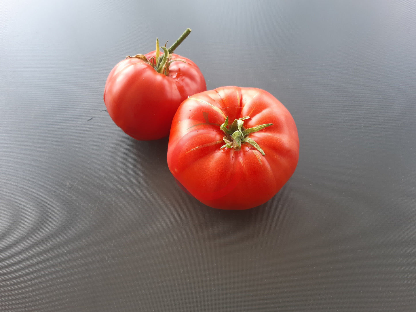 Mortgage Lifter Radiator Charlie DER TOMATENFLÜSTERER