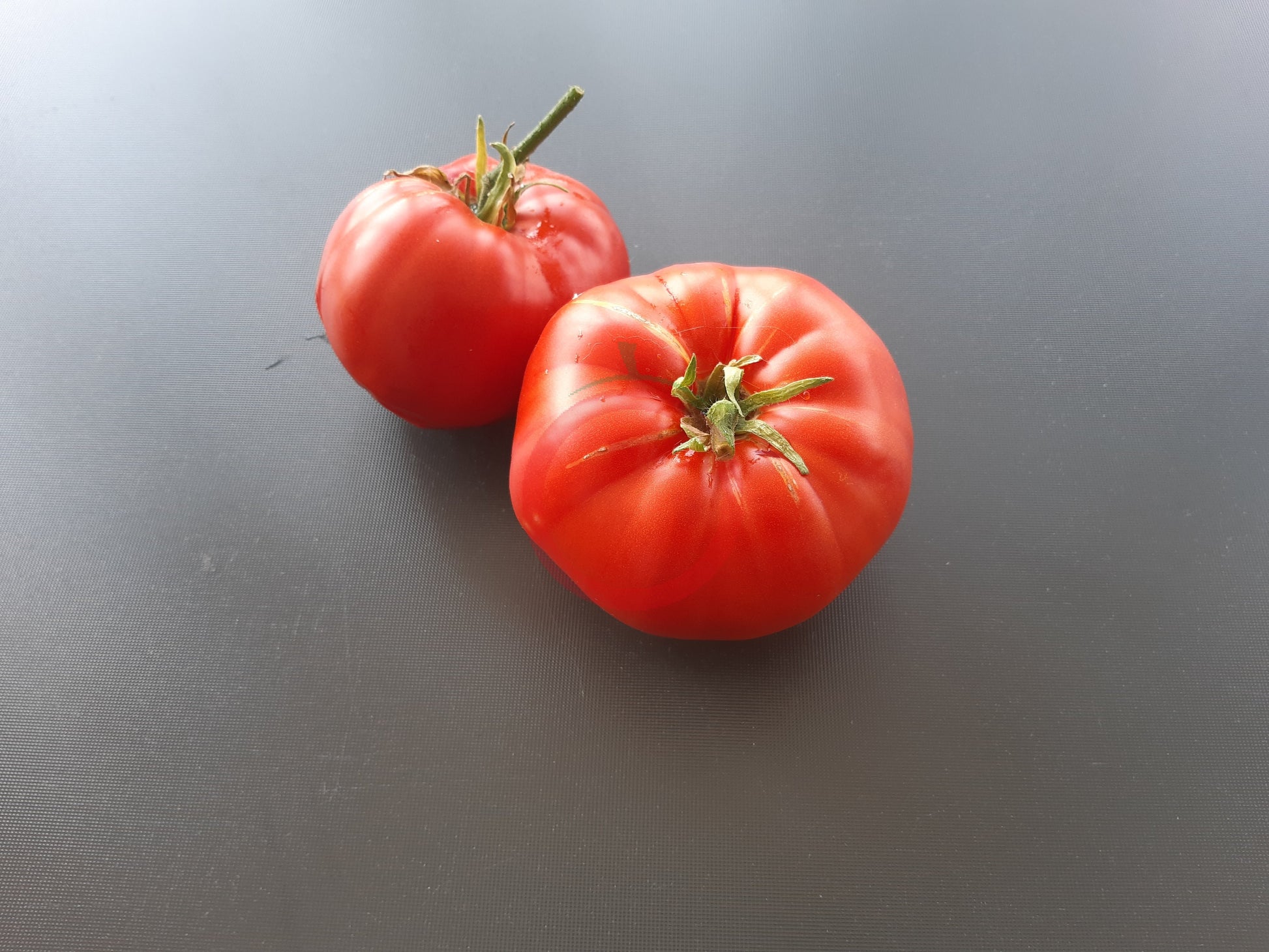 Mortgage Lifter Radiator Charlie DER TOMATENFLÜSTERER