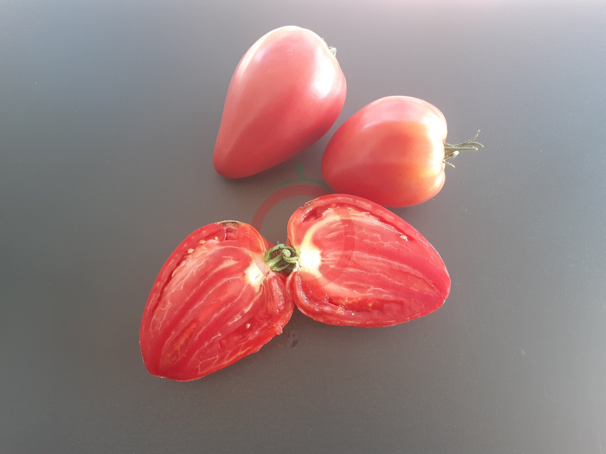 Mrs. Schlaubaugh's Famous Strawberry DER TOMATENFLÜSTERER