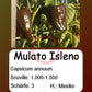 Mulato Isleno DER TOMATENFLÜSTERER