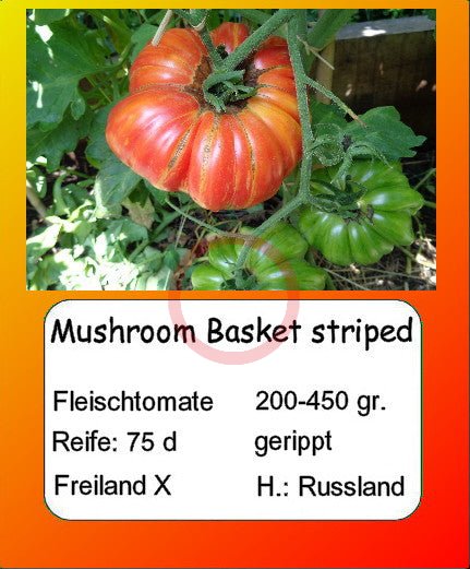 Mushroom Basket striped DER TOMATENFLÜSTERER