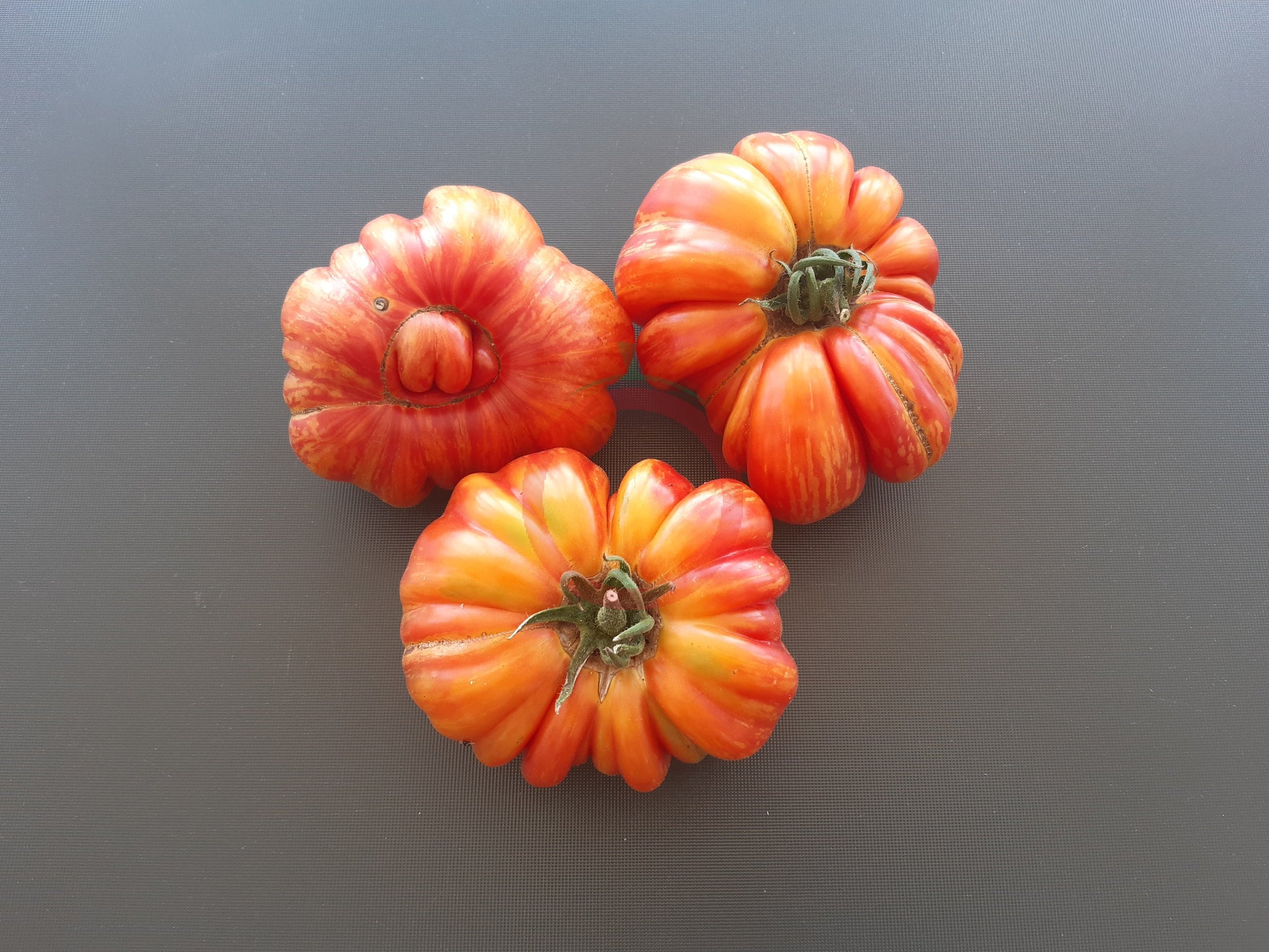 Mushroom Basket striped DER TOMATENFLÜSTERER