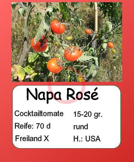 Napa Rosé DER TOMATENFLÜSTERER