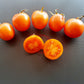 Napsugar DER TOMATENFLÜSTERER