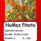 NuMex Pinata DER TOMATENFLÜSTERER