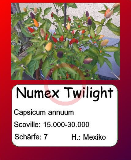 NuMex Twilight DER TOMATENFLÜSTERER