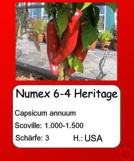 Numex 6-4 Heritage DER TOMATENFLÜSTERER